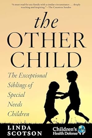 the other child the exceptional siblings of special needs children 1st edition linda scotson ,ken mccarthy