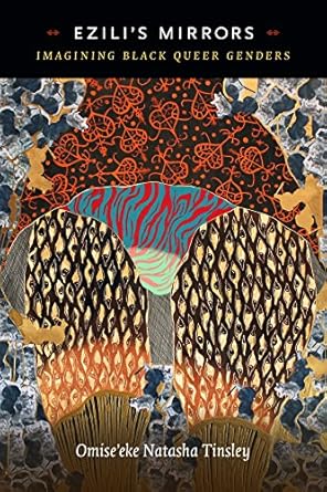 ezilis mirrors imagining black queer genders 1st edition omise'eke natasha tinsley 0822370387, 978-0822370383