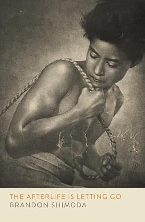 the afterlife is letting go 1st edition brandon shimoda 0872869296, 978-0872869295