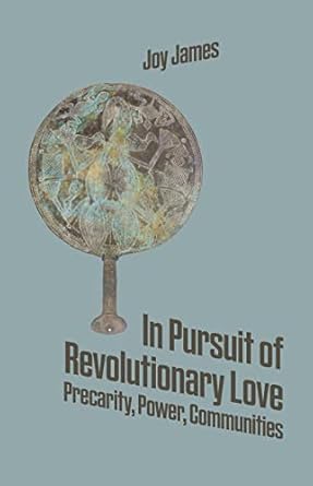 in pursuit of revolutionary love precarity power communities 1st edition joy james 173984310x, 978-1739843106