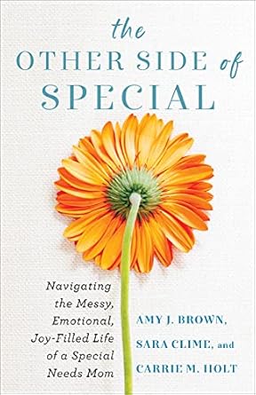 the other side of special navigating the messy emotional joy filled life of a special needs mom 1st edition