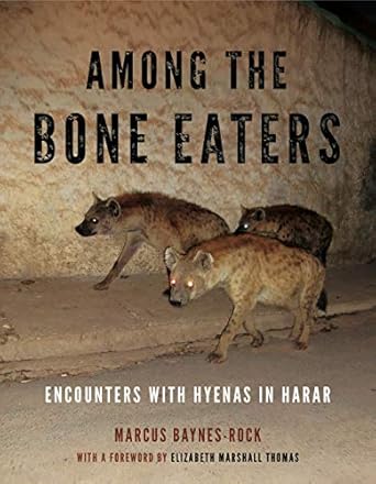 Among The Bone Eaters Encounters With Hyenas In Harar