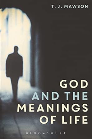 god and the meanings of life what god could and couldnt do to make our lives more meaningful 1st edition t j