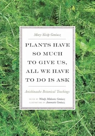 plants have so much to give us all we have to do is ask anishinaabe botanical teachings 1st edition mary