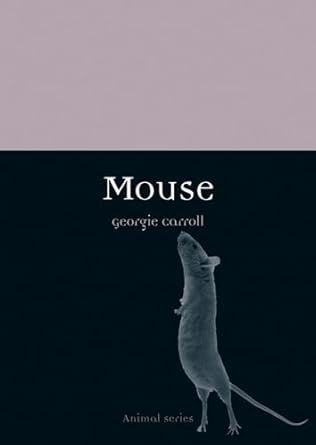mouse 1st edition georgie carroll 1780233396, 978-1780233390