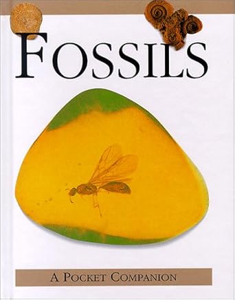 fossils 1st edition judith milidge 0785809708, 978-0785809708
