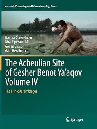 the acheulian site of gesher benot yaaqov volume iv the lithic assemblages 1st edition naama goren inbar
