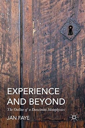 experience and beyond the outline of a darwinian metaphysics 1st edition jan faye 3319310763, 978-3319310763