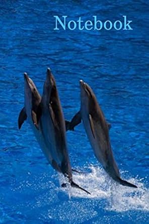 notebook dolphin ocean lined paperback jotter 1st edition shard designs 1692803212, 978-1692803216