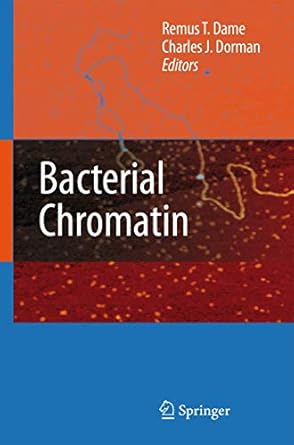 bacterial chromatin 1st edition remus t dame ,charles j dorman 9048134722, 978-9048134724