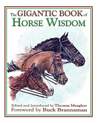 the gigantic book of horse wisdom 1st edition thomas meagher ,buck brannaman 1602390967, 978-1602390966