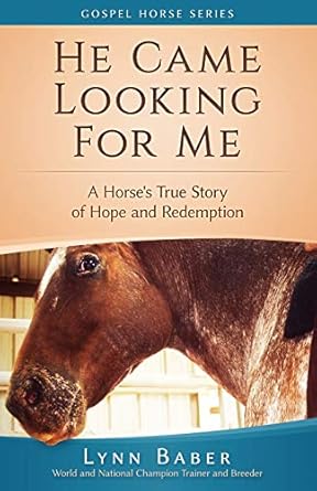 he came looking for me a horses true story of hope and redemption 1st edition lynn baber 1938836049,