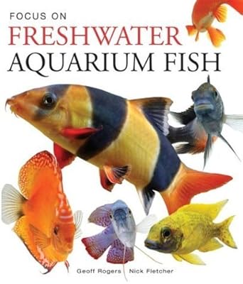 focus on freshwater aquarium fish 1st edition nick fletcher ,geoff rogers 1552979369, 978-1552979365