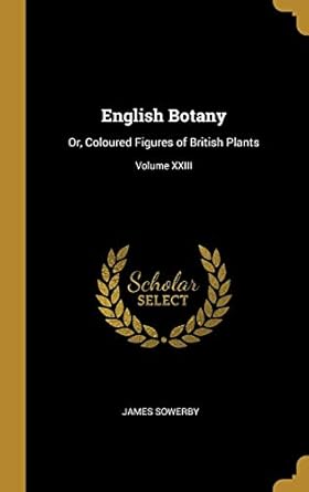 english botany or coloured figures of british plants volume xxiii 1st edition james sowerby 0469597542,