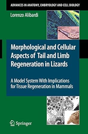 morphological and cellular aspects of tail and limb regeneration in lizards a model system with implications