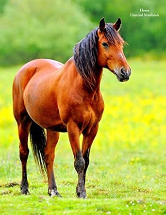 horse unruled notebook unruled blank notebook no lines no page numbers glossy cover with image on front and