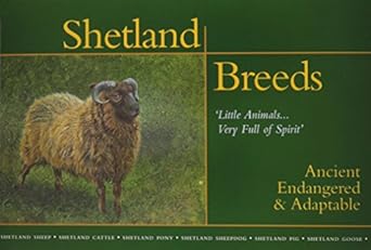 shetland breeds little animals very full of spirit ancient endangered and adaptable 1st edition nancy