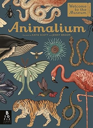 animalium 1st edition jenny broom 1787411648, 978-1787411647