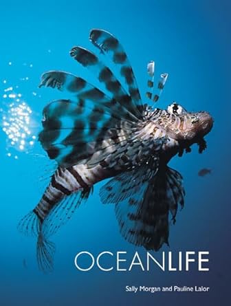 ocean life 1st edition sally morgan ,pauline lalor 1856485919, 978-1856485913