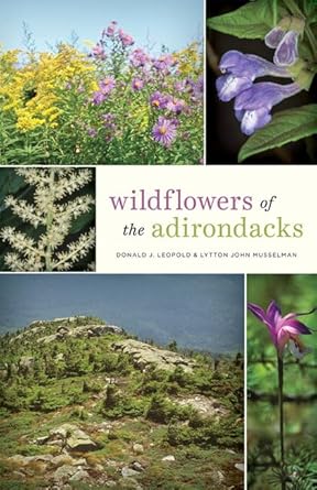 wildflowers of the adirondacks 1st edition donald j leopold ,lytton john musselman 1421431106, 978-1421431109