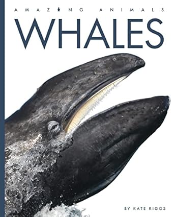 whales 1st edition kate riggs 1682771113, 978-1682771112