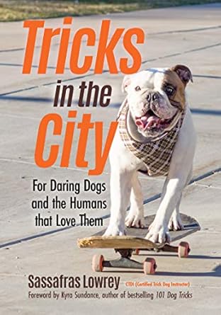 tricks in the city for daring dogs and the humans that love them 1st edition sassafras lowrey ,kyra sundance