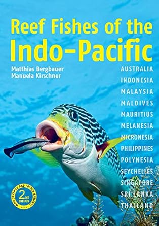 reef fishes of the indo pacific 1st edition matthias bergbauer ,manuela kirschner 1912081342, 978-1912081349