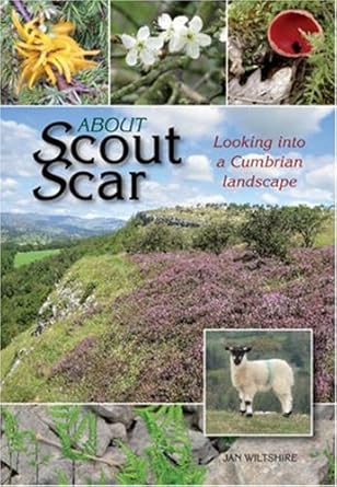 about scout scar 1st edition jan wiltshire 1874181578, 978-1874181576