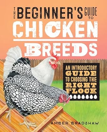 the beginners guide to chicken breeds an introductory guide to choosing the right flock 1st edition amber