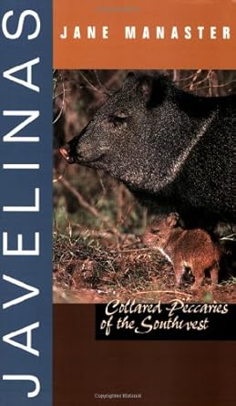 javelinas collared peccaries of the southwest 1st edition jane manaster 0896725774, 978-0896725775