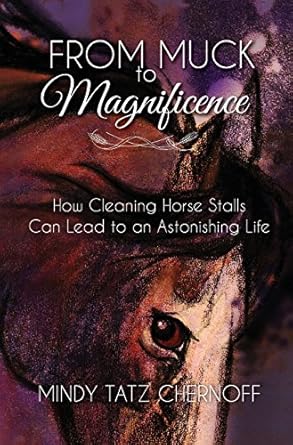 from muck to magnificence how cleaning horse stalls can lead to an astonishing life 1st edition mindy tatz