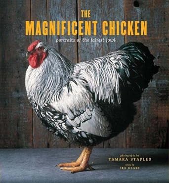 the magnificent chicken portraits of the fairest fowl 1st edition tamara staples ,ira glasschrista velbel