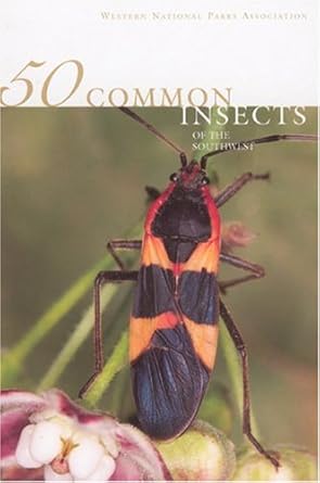 50 common insects of the southwest 1st edition carl e olson 1583690425, 978-1583690420