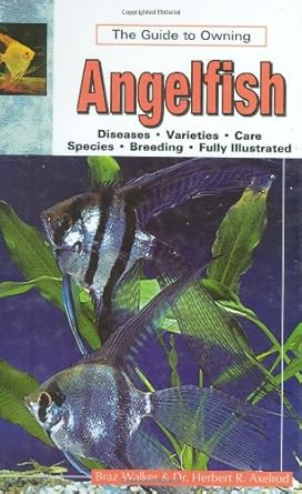 the guide to owning angelfish 1st edition braz walker 0793833531, 978-0793833535