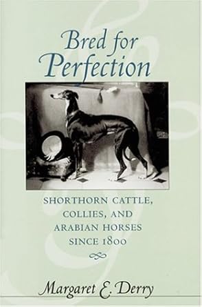 bred for perfection shorthorn cattle collies and arabian horses since 1800 1st edition margaret e derry