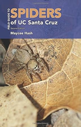 field guide to spiders of uc santa cruz 1st edition maycee hash 1530887933, 978-1530887934