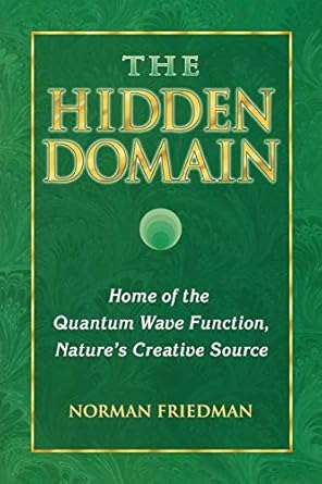 the hidden domain home of the quantum wave function natures creative source 1st edition norman friedman