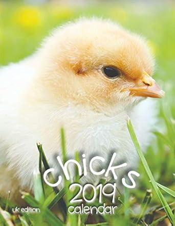 chicks 2019 calendar 1st edition wall publishing 1642521302, 978-1642521306