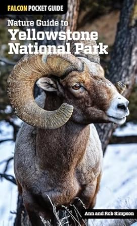nature guide to yellowstone national park 1st edition ann simpson ,rob simpson 1493009672, 978-1493009671
