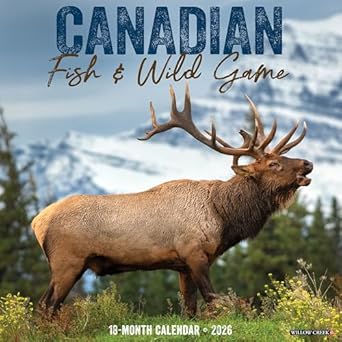 canadian fish and wild game 2026 12 x 12 wall calendar 1st edition willow creek press 1549250531,
