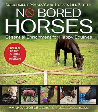 no bored horses 1st edition amanda goble 1646012097, 978-1646012091