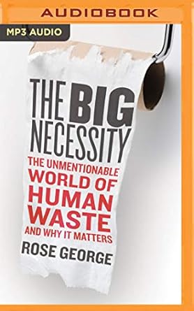 big necessity the 1st edition rose george ,karen cass 1721336052, 978-1721336050