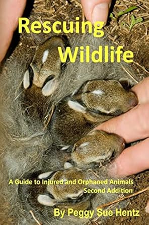 rescueing wildlife a guide to helping injured and orphaned animals 1st edition peggy sue hentz 1545036632,