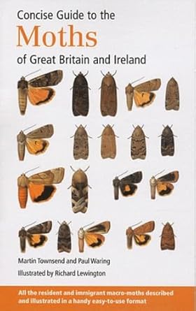 concise guide to the moths of great britain and ireland 1st edition martin townsend 0953139964, 978-0953139965