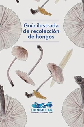 guia ilustrada de recoleccion de hongos 1st edition gonzalo m romano ,emanuel grassi ,leonardo majul ,renato