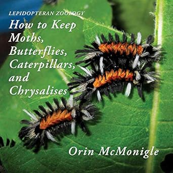 lepidopteran zoology how to keep moths butterflies caterpillars and chrysalises 1st edition orin mcmonigle