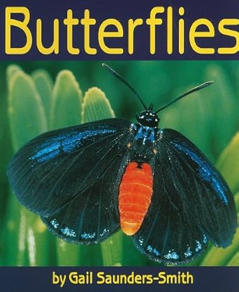 butterflies 1st edition gail saunders smith 1560659564, 978-1560659563