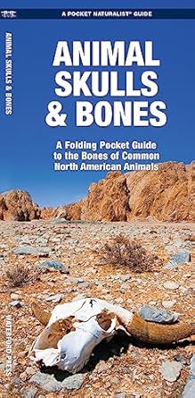 animal skulls and bones a laminated folding guide to the bones of common north american animals 1st edition
