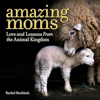 amazing moms love and lessons from the animal kingdom 1st edition rachel buchholz 142621667x, 978-1426216671