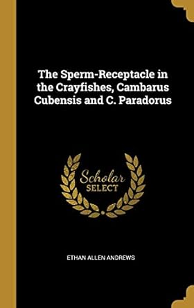 the sperm receptacle in the crayfishes cambarus cubensis and c paradorus 1st edition ethan allen andrews